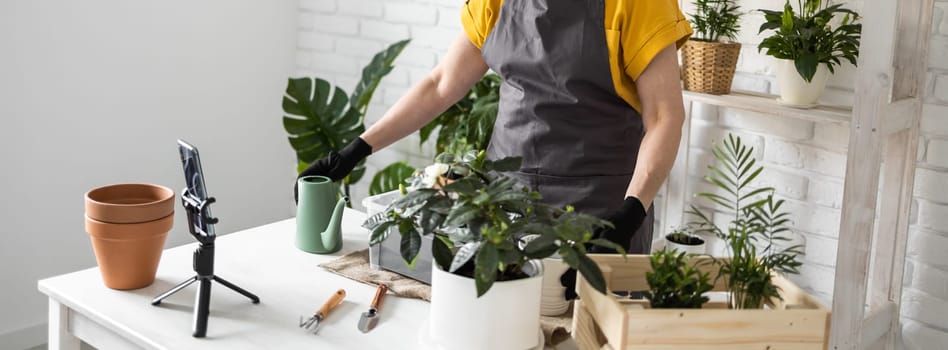 Relaxing home gardening. Smiling middle aged woman in black gloves with potted plant records gardening video blog in modern house - blogging and florist vlog influencer.