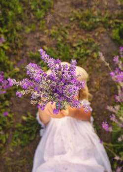 Child girl in lavender field. Selective focus. Kid.