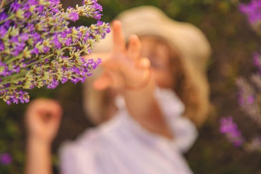 Child girl in lavender field. Selective focus. Kid.