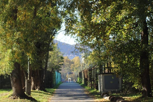 A peaceful pathway surrounded by lush trees showcases vibrant autumn colors, stretching toward distant mountains under a clear blue sky during a sunny afternoon.