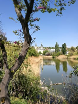 A peaceful lake reflects the vivid blue sky and nearby buildings, with gentle foliage framing the scene, creating a calming atmosphere in nature.