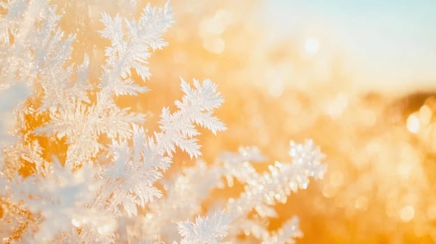 Beautiful ice crystals glistening in golden sunlight, creating a magical winter scene