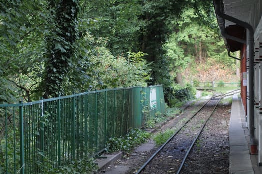 A serene railway track runs through a vibrant green landscape, flanked by dense foliage, with an old station visible nearby under clear skies.