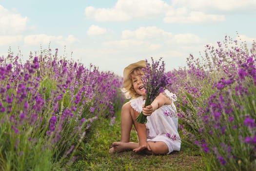 Child girl in lavender field. Selective focus. Kid.