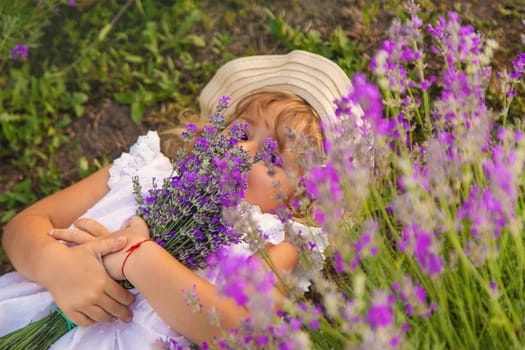 Child girl in lavender field. Selective focus. Kid.