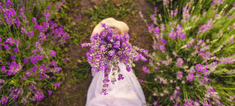 Child girl in lavender field. Selective focus. Kid.