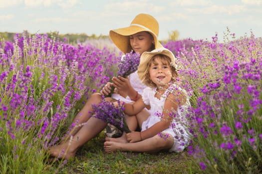 Child girl in lavender field. Selective focus. kids.