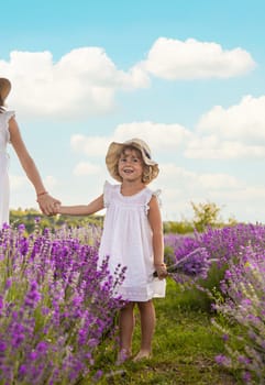 Child girl in lavender field. Selective focus. kids.