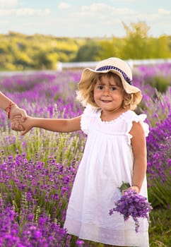 Child girl in lavender field. Selective focus. kids.