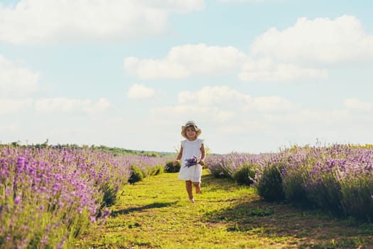 Child girl in lavender field. Selective focus. kid.