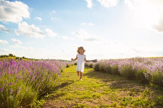 Child girl in lavender field. Selective focus. kid.