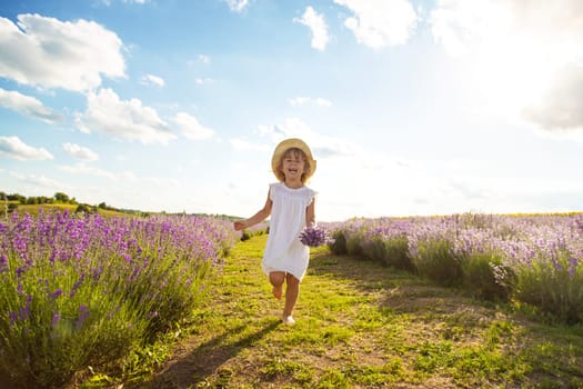 Child girl in lavender field. Selective focus. kid.