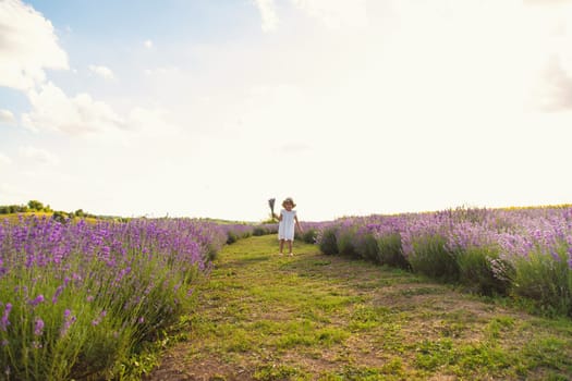 Child girl in lavender field. Selective focus. kid.