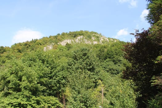 The vibrant greenery of the hillside is dotted with trees, showcasing the natural beauty of the area under a clear blue sky during the day.