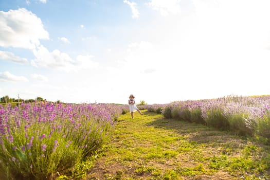 Child girl in lavender field. Selective focus. kid.