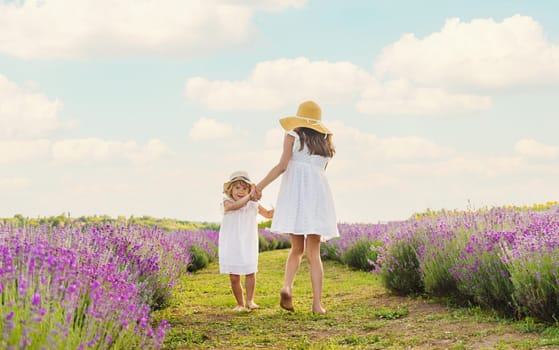 Child girl in lavender field. Selective focus. Kid.