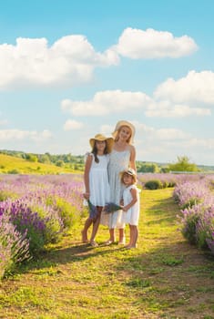 Family in lavender field. Selective focus. kid.