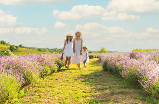 Family in lavender field. Selective focus. kid.