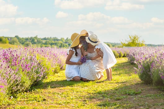 Family in lavender field. Selective focus. kid.