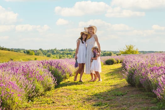 Family in lavender field. Selective focus. kid.