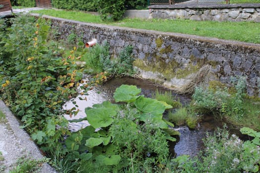 Lush greenery and vibrant plants line the banks of a serene stream flowing through a quiet village. The peaceful water invites a sense of calm in the afternoon sun.