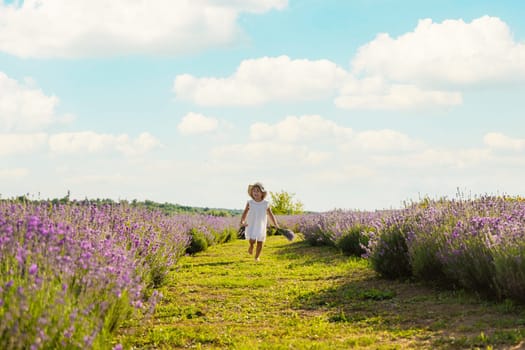 Child girl in lavender field. Selective focus. kid.