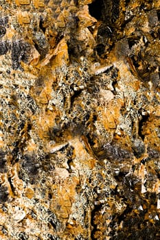 Background of a shiny crumpled foil surface in golden color close-up
