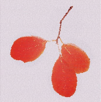 Three orange abstract leaves of a barberry shrub on a light pink background close-up view from above