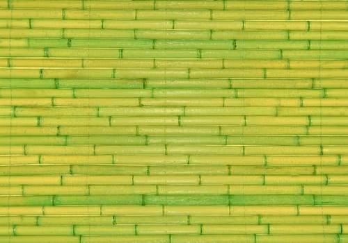 Horizontal arrangement of yellow-green lacquered bamboo close-up
