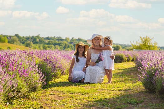 Family in lavender field. Selective focus. kid.