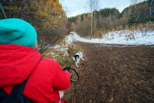 Amidst a tranquil forest, a person bundled in vibrant winter attire, accompanied by a lively dog.