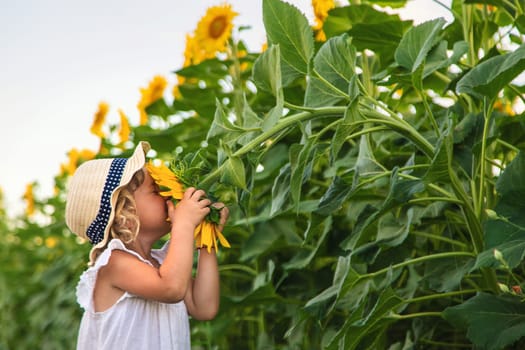 Child in a field of sunflowers. Selective focus. kid.