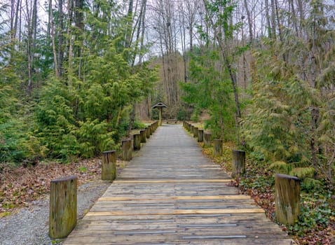 Wooden paved trail in a park on winter season in British Columbia, Canada.