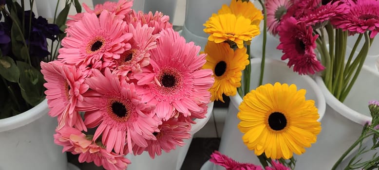 pink and yellow beautiful flowers, petals plants, flora botanical variety floristry, stems nature. High quality photo