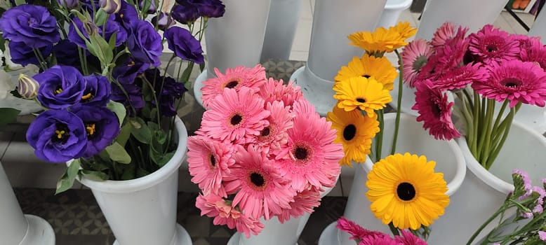 pink and yellow beautiful flowers gerbera, petals plants, flora botanical variety floristry, stems nature. High quality photo
