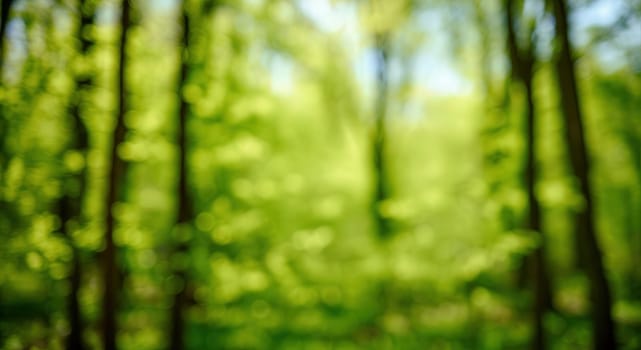 Lush green forest softly blurred, creating a serene, abstract backdrop. ideal for nature-inspired designs, evoking tranquility and the beauty of natural landscapes. perfect for eco-friendly themes.