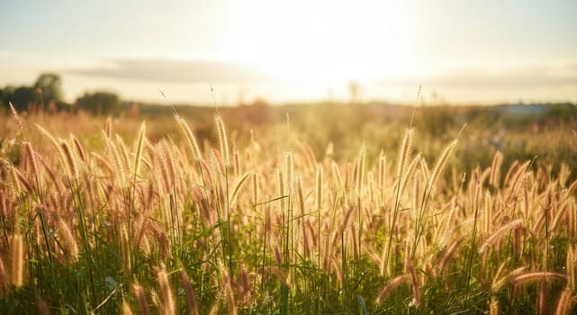 A serene meadow bathed in golden sunlight during the golden hour, showcasing tall grass and wildflowers gently swaying in the breeze. the warm hues and natural beauty create a tranquil and peaceful atmosphere perfect for nature-themed designs.