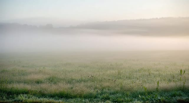 Mist blankets a serene meadow at dawn, revealing a tranquil landscape with rolling hills in the distance. soft morning light illuminates the dewy grass, creating a peaceful, atmospheric scene perfect for nature-themed designs.