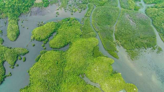 Aerial drone of tropical islands and bays. Seascape with lagoons and cove. Sipalay, Negros, Philippines.