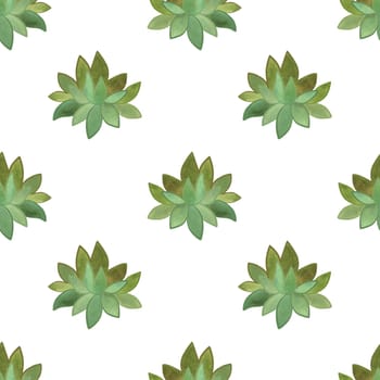 Succulents: seamless watercolor pattern on a white background for wrapping paper and print on fabric, home textiles. Home gardening, hobby
