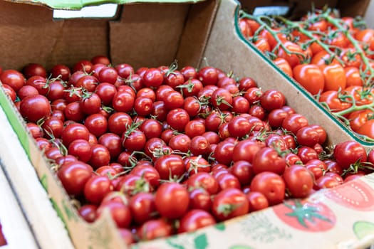 juicy raw food red fresh organic ingredient tomato ripe vegetable agriculture freshness closeup