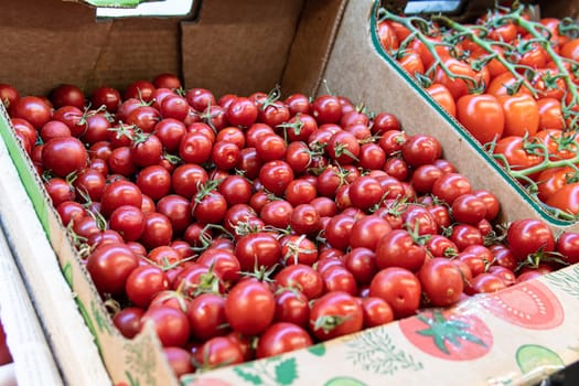 juicy raw agriculture closeup vegetable freshness red organic fresh ripe ingredient tomato food