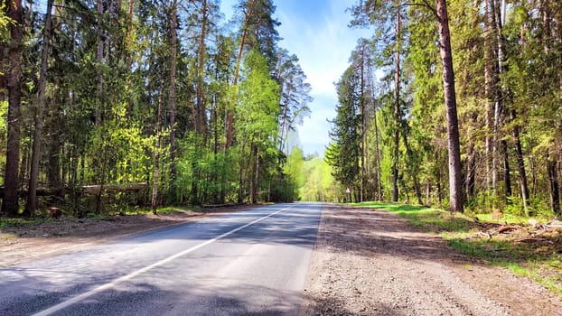 A paved road winds through dense forest on a sunny summer day