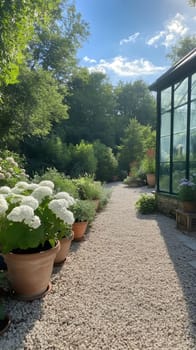 A charming garden path lined with blooming flower pots, basking in the warm sunlight of a clear day.