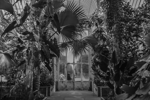 London, UK - Apr 9, 2019 : Beautiful exit door of Palm House at Kew Gardens (Royal Botanic Gardens).