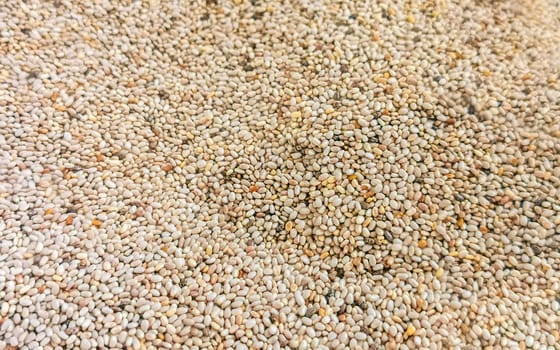 Lots of gray and white chia seed texture pattern in Zicatela Puerto Escondido Oaxaca Mexico.
