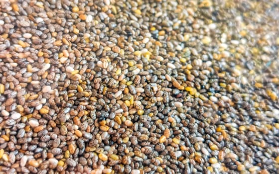Lots of gray and white chia seed texture pattern in Zicatela Puerto Escondido Oaxaca Mexico.