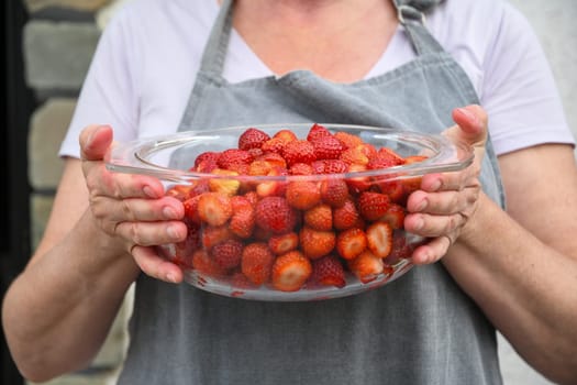 unrecognizable woman in an apron holds large transparent bowl of freshly picked strawberries, stemmed and ready to be made into jam,concept of new harvest of seasonal berries and organic gardening