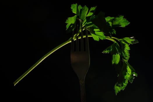 parsley on a fork on a black background