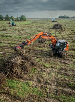 FRANCE, GIRONDE, NAUJAN-ET-POSTIAC, BORDEAUX VINEYARD UPROOTING CAMPAIGN WITH BACKHOE LOADER. High quality photo